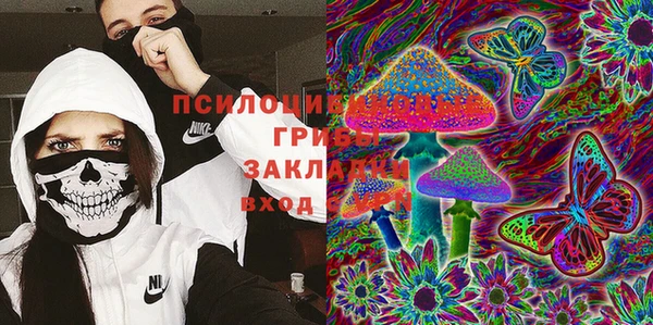 тгк Магас