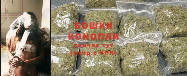спиды Мегион
