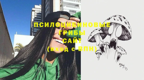 спиды Мегион