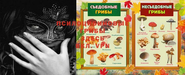 тгк Магас